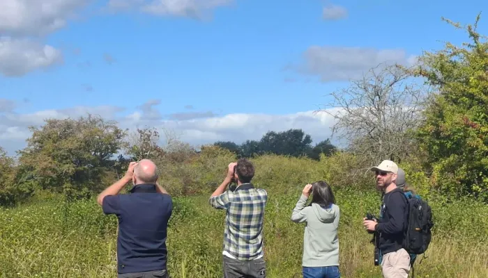 Four people bird watching with binoculars.