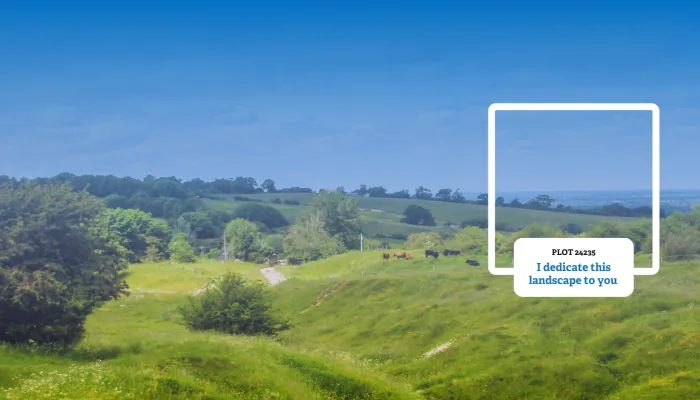 Legacy Landscapes website header