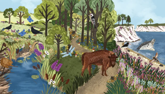 Nature Restoration Fund illustration species adjusted