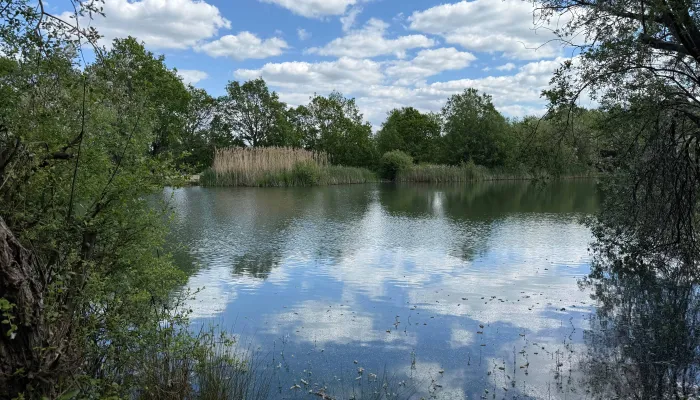River Beult
