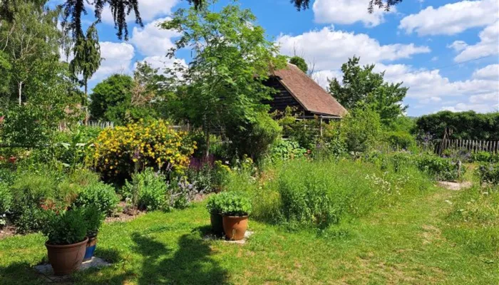 A barn building surrounded by summer foliage.