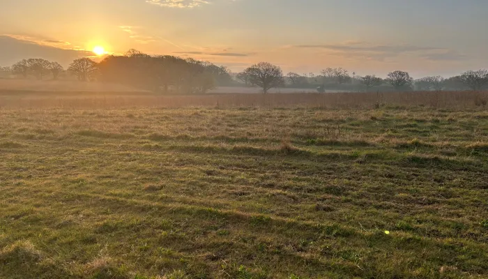 Summer morning in the UBFC area
