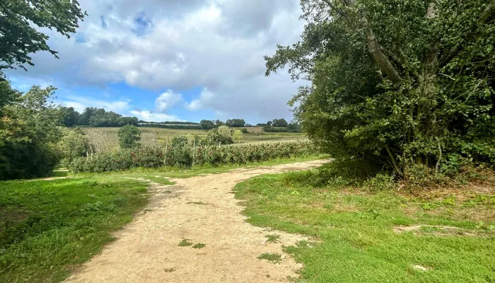 Farmed landscape