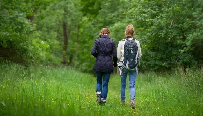 two people walking together in a grassy and wooded area with their backs facing the camera