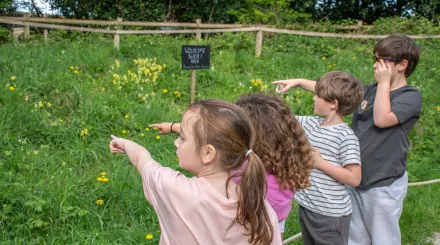 children pointing at nature at green bank