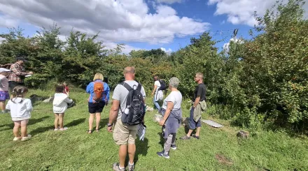 people gathered around on grass 