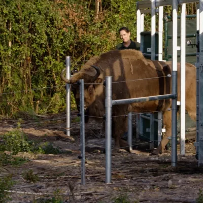 The moment of release