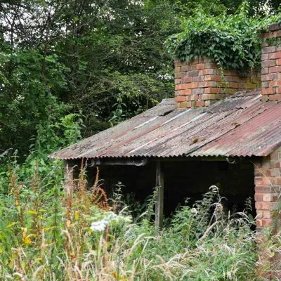 Allowing nature to return