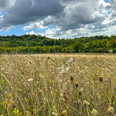 © rumewiphotography