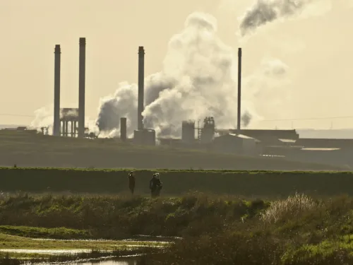 Elmley RSPB Nature Reserve