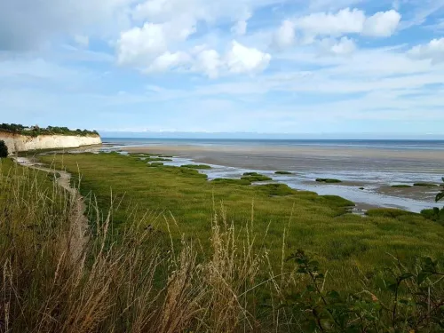 A view of the saltmarshes at Pegwell Bay.