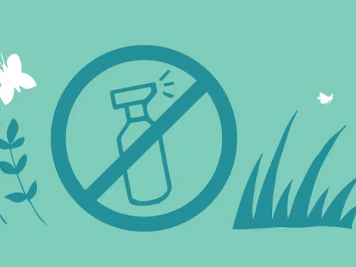 chemical free illustration