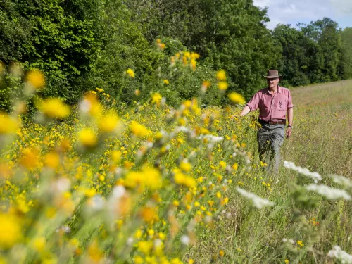 Castle Farm part of the darent valley landscape recovery project