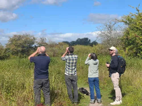 Four people bird watching with binoculars.