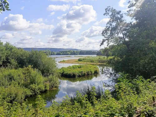 The view across the lakes at Sevenoaks Wildlife Reserve in summer.