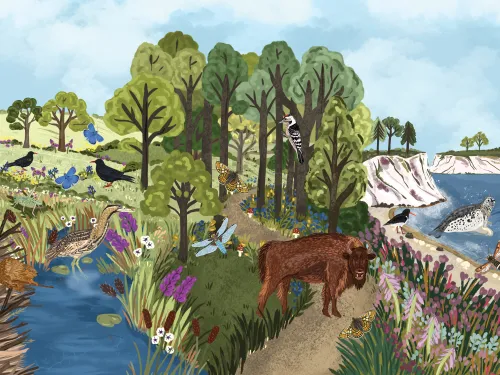 Nature Restoration Fund illustration species adjusted