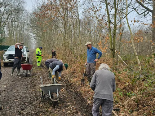 Team of volunteers digging a ditch in the woods
