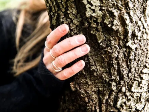 hands on tree