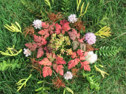 nature-mandala.png