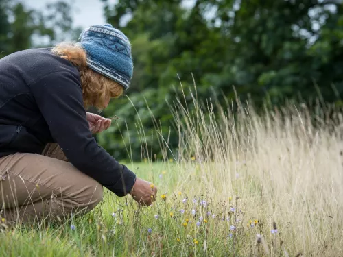 Trinity Broad surveying